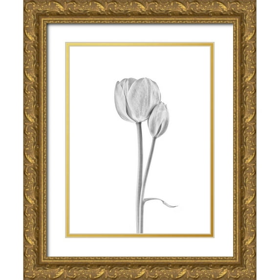 Gronkjar, Lotte 25x32 Gold Ornate Wood Framed with Double Matting Museum Art Print Titled - Connected