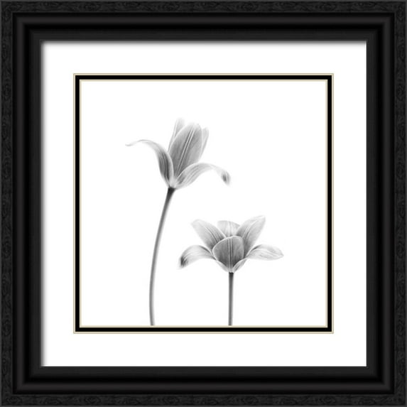 Gronkjar, Lotte 26x26 Black Ornate Wood Framed with Double Matting Museum Art Print Titled - First Tulips