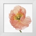 thumbnail image 1 of Gronkjar, Lotte 26x26 White Modern Wood Framed Museum Art Print Titled - Poppy, 1 of 4