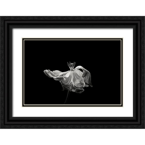 Gronkjar, Lotte 32x23 Black Ornate Wood Framed with Double Matting Museum Art Print Titled - Tulip