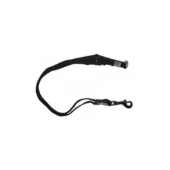 Groomers Helper Professional Loop Black