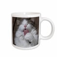 thumbnail image 1 of 3drose, Grooming Cat, 15oz Mug, 1 of 6