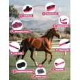 thumbnail image 1 of Grooming Kit Pink Complete Equine Brush Set for Shedding Daily Care, 1 of 7