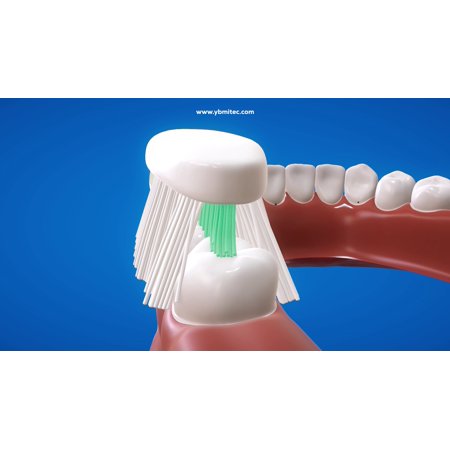 Groove Toothbrush Soft 4 pack MultiColor Free Shipping sale