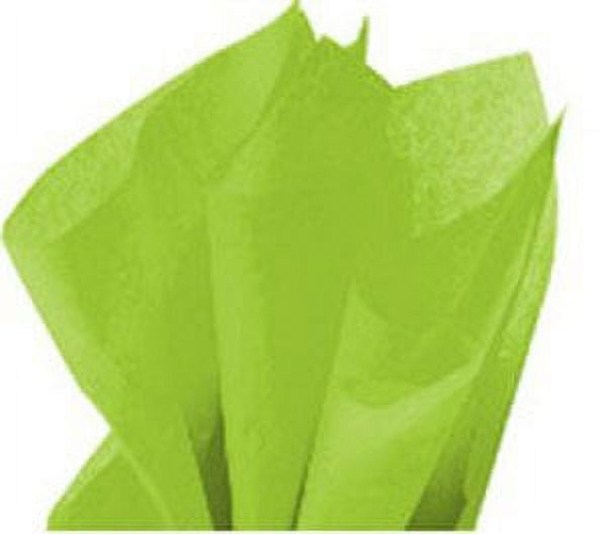 Carte dozio – Sage Green Tissue Paper – 50 Sheets A CONF. – F. to 76 cm x  100 – 21 gr/mq