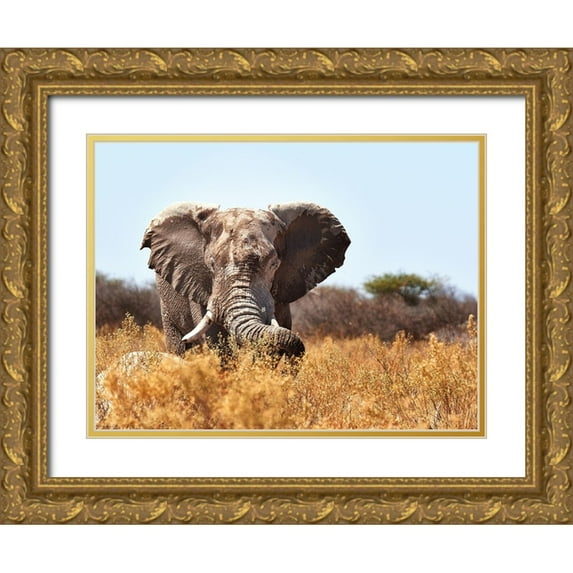 Groth, Claudia 24x19 Gold Ornate Wood Framed with Double Matting Museum Art Print Titled - The Guard