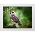 thumbnail image 1 of Groth, Martin 18x15 White Modern Wood Framed Museum Art Print Titled - 180Ad, 1 of 4