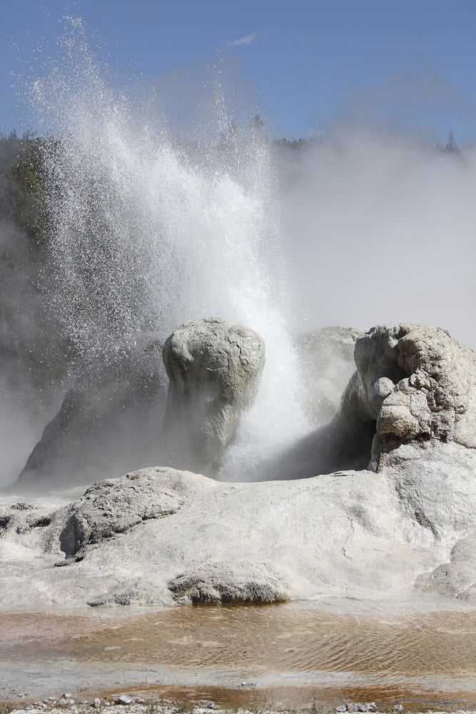 Grotto Geyser erupting Upper Geyser Basin geothermal area Yellowstone National Park Canvas Art - Richard RoscoeStocktrek Images (23 x 35)