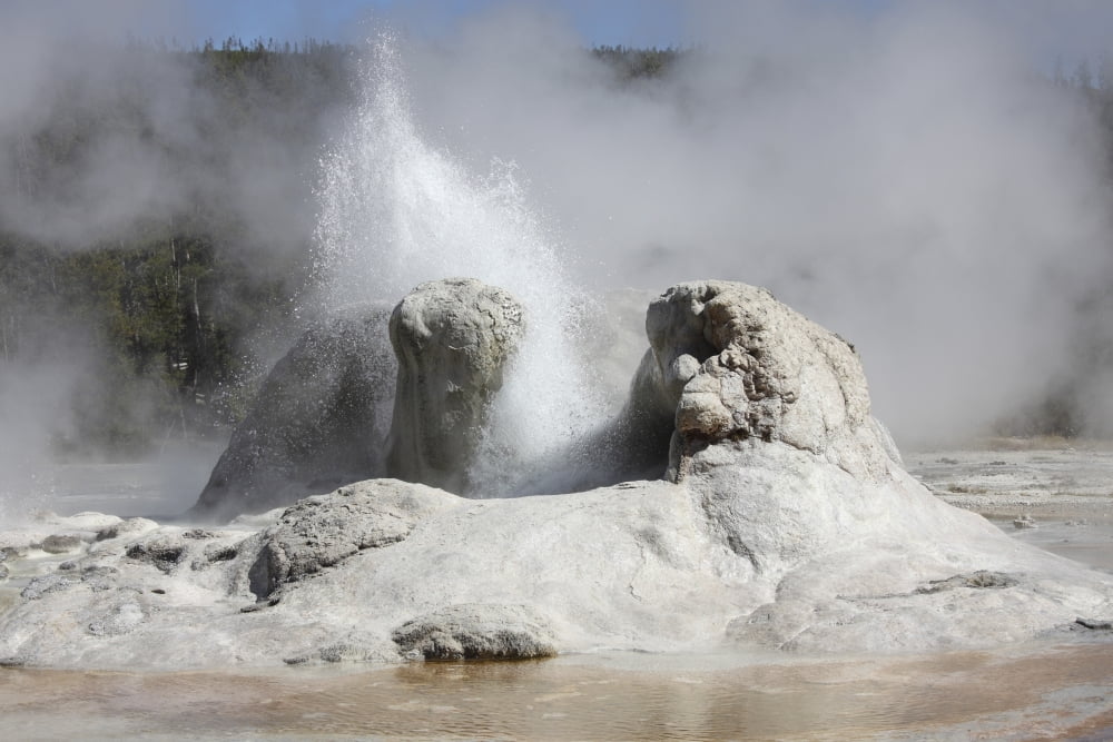 Grotto Geyser eruption Upper Geyser Basin geothermal area Yellowstone National Park Canvas Art - Richard RoscoeStocktrek Images (18 x 12)