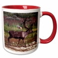 thumbnail image 1 of 3drose, Ground Barrel Caribou, Rangifer Arcticus, Tundra, Manitoba, Churchill Northern Canada., 11oz Two-tone Red Mug, 1 of 6