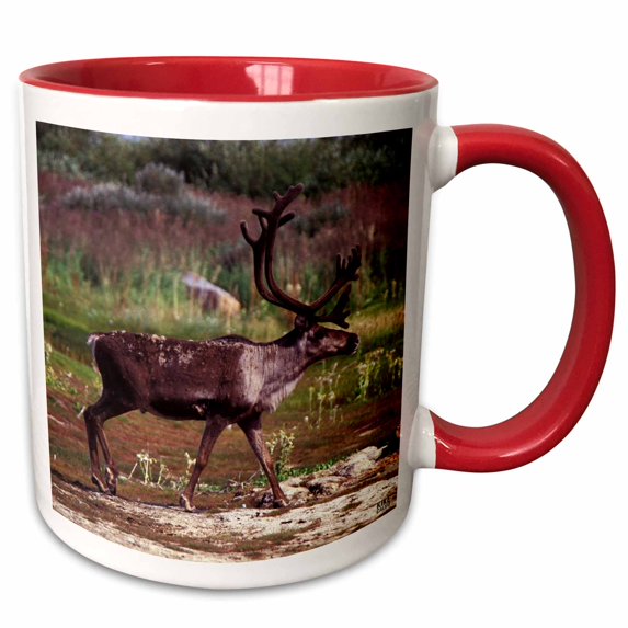 3drose, Ground Barrel Caribou, Rangifer Arcticus, Tundra, Manitoba, Churchill Northern Canada., 11oz Two-tone Red Mug