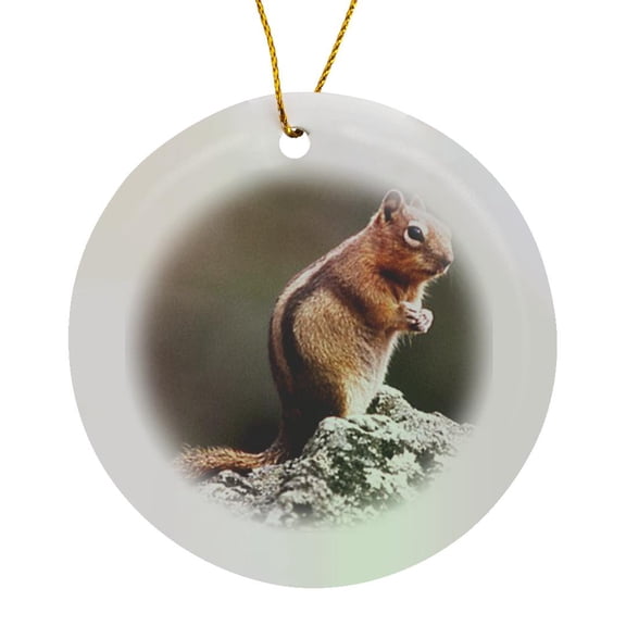3drose, Ground Squirrel, Circle Porcelain Ornament