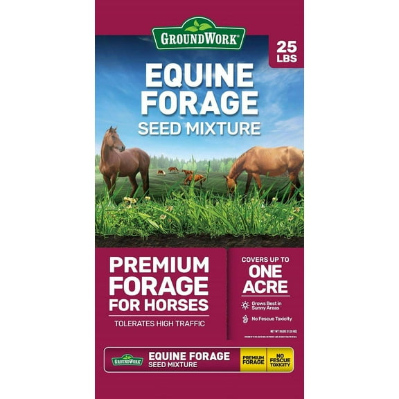 GroundWork 25 lb. Equine Forage Mix Grass Seed, South