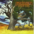 thumbnail image 1 of Groundation - Young Tree - Music & Performance - CD, 1 of 1