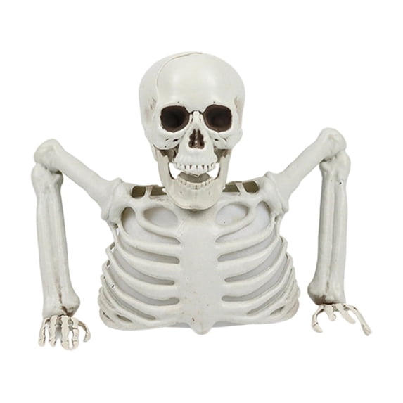 Groundbreaker Skeleton 10 X 9 Inch Skeleton Decoration Scary Outdoor Halloween Decorations for Yard Lawn and Garden Graveyard Scene White 1 Pack