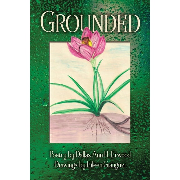Grounded (Paperback)