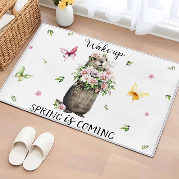 Groundhog 2'x3' Washable Rug, Spring Floral Butterfly Botanical Non-Slip Soft Doormat Area Rugs for Entrance Bathroom Bedsides, StainResistant Carpet for Kitchen Bedroom, Entryway Floor Mat