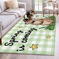 thumbnail image 1 of Groundhog Day Area Rug 4'x6', Green Plaid Spring Botanical Star Yellow Washable Non-Slip Rugs, Low Pile Large Carpet for Living Room Bedroom Dining Room Kitchen Office Indoor Mat, 1 of 9