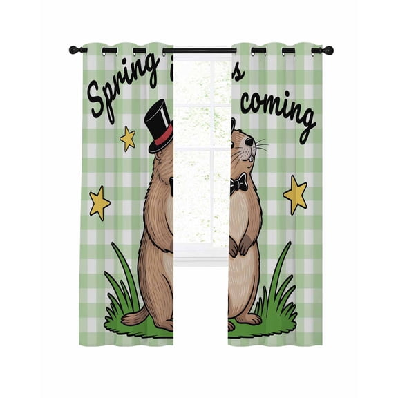 Groundhog Day Blackout Curtains 45 Inch Length Spring Is Coming Cartoon Groundhog Stars Grass Green Plaid Thermal Insulated Window Curtain Window Drapes 2 Panels for Bedroom Living Room 52"Wx45"L