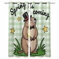 thumbnail image 1 of Groundhog Day Blackout Curtains for Bedroom Living Room Darkening Curtains 63 Inches Long Green Plaid Spring Botanical Star Yellow Window Curtain 2 Panels Set Window Treatment Grommet Drapes 42"x63", 1 of 9