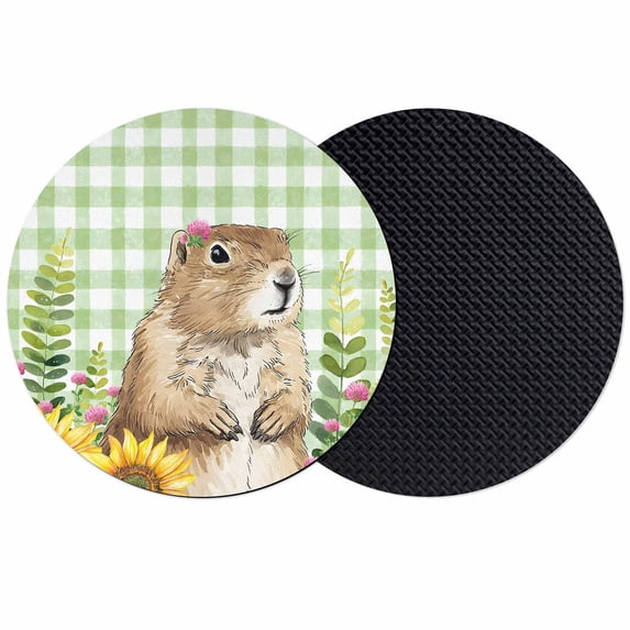 Groundhog Day Coasters Set of 2, Absorbent Coasters for Drinks, Green Plaid Sunflower Spring Floral Coaster for Desk Coffee Table Protection, Home Decor House Warming Gifts 4"