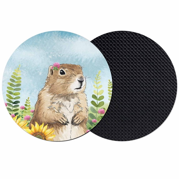 Groundhog Day Coasters Set of 2, Absorbent Coasters for Drinks, Sunflower Spring Floral Botanical Blue Coaster for Desk Coffee Table Protection, Home Decor House Warming Gifts 4"