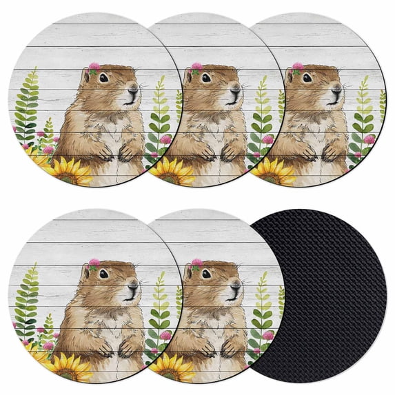 Groundhog Day Coasters Set of 6, Absorbent Coasters for Drinks, Sunflower Spring Floral Botanical Vintage Coaster for Desk Coffee Table Protection, Home Decor House Warming Gifts 4"