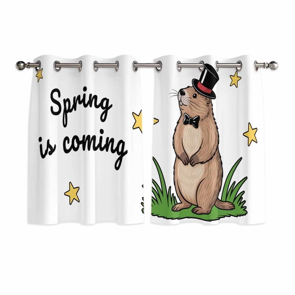 Groundhog Day Kitchen Curtains Window Panels, Spring Botanical Star Yellow Insulated Window Treatment Curtain, Grommet Curtains for Bedroom/Living Room/Bathroom, 2 Piece 42"Wx45"L