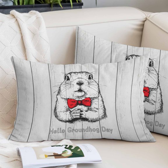 Groundhog Day Pillow Covers 12"x20", Red Bow Knot Vintage Soft Brushed Microfiber Breathable Throw Pillow Covers, Pillowcase with Zipper for Couch Sofa Bedroom Living Room