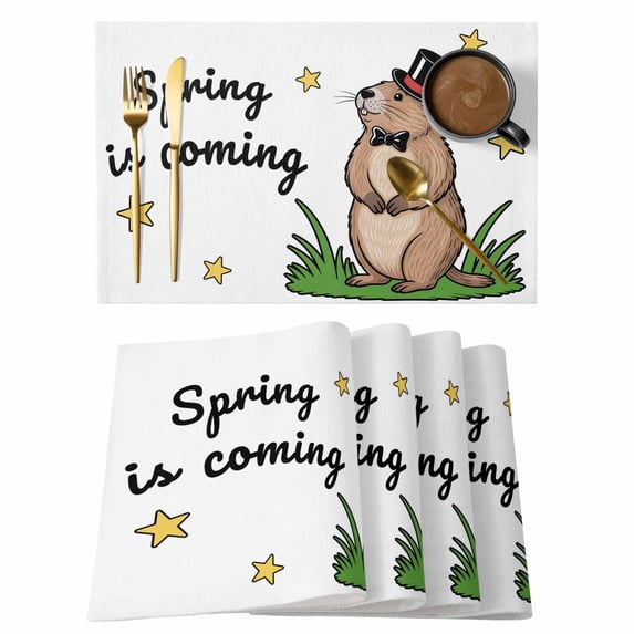 Groundhog Day Placemats Set of 4 Spring Botanical Star Yellow Place Mats Indoor Wipeable Table Mats Washable Cloth Dining Table Placemats for Kitchen Holiday Party Home Decor 13x19 Inch