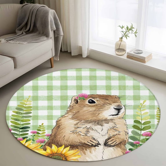 Groundhog Day Round Area Rug 4ft, Green Plaid Sunflower Spring Floral Washable Non-Slip Circle Rugs for Bedroom Living Room Kitchen, Soft Non Shedding Circle Carpet for Dining Room Dorm