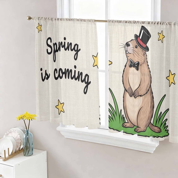 Groundhog Day Sheer Curtains 45 Inch Length 2 Panels Set, Rustic Spring Botanical Star Yellow Voile Window Treatment Rod Pocket Small Kitchen Curtains Drapes for Bedroom 52"x45"x2