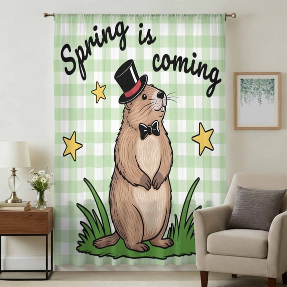 Groundhog Day Sheer Curtains 72 Inches Long, Green Plaid Spring Botanical Star Yellow Light Filering Curtains, Breathable Simi Curtain Privacy Drapes for Living Room Bedroom Window Treatment
