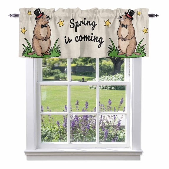 Groundhog Day Valance Curtain for Windows Spring Is Coming Cartoon Groundhog Stars Grass Linen Texture Rod Pocket Curtain Valances Short Window Treatments for Kitchen Bathroom Laundry 42 x 18 Inch