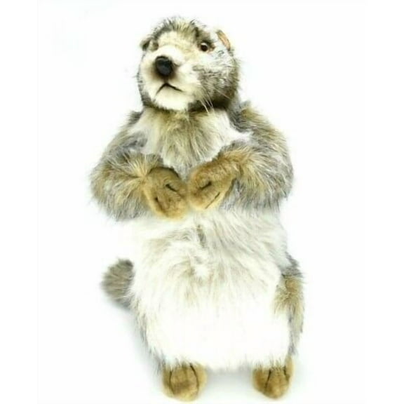 Groundhog, Marmot, Very Nice Plush, Stuffed Animal, Educational, Toy, Kids, Realistic Figure, Lifelike Model, Replica, Gift, 13" F1719 B143