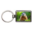 thumbnail image 1 of Groundhog Metal Rectangle Keychain, 1 of 6