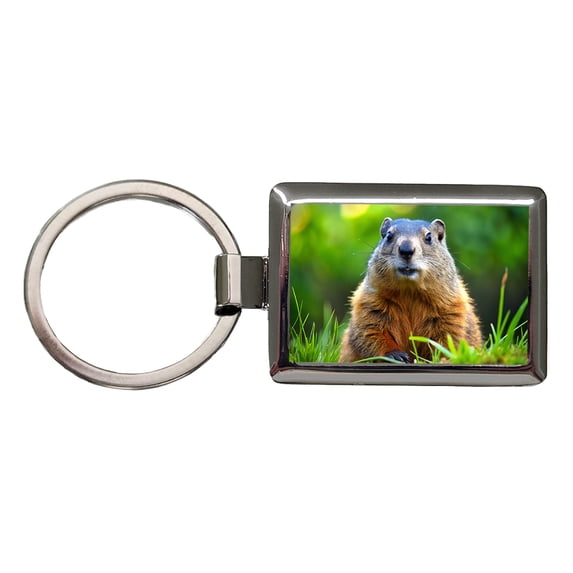 Groundhog Metal Rectangle Keychain