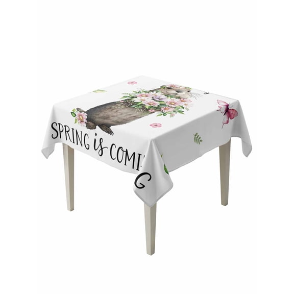 Groundhog Suqare Tablecloth - 54 x 54 Inch, Spring Floral Butterfly Botanical Waterproof & StainResistant Tablecloth, Washable Oil-proof Table Cover for Dining/Party/Wedding/Camping/Buffet