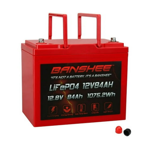 Group 24 Size with Built-in BMS, 1075.2Wh Lithium Iron Phosphate Battery, RV +