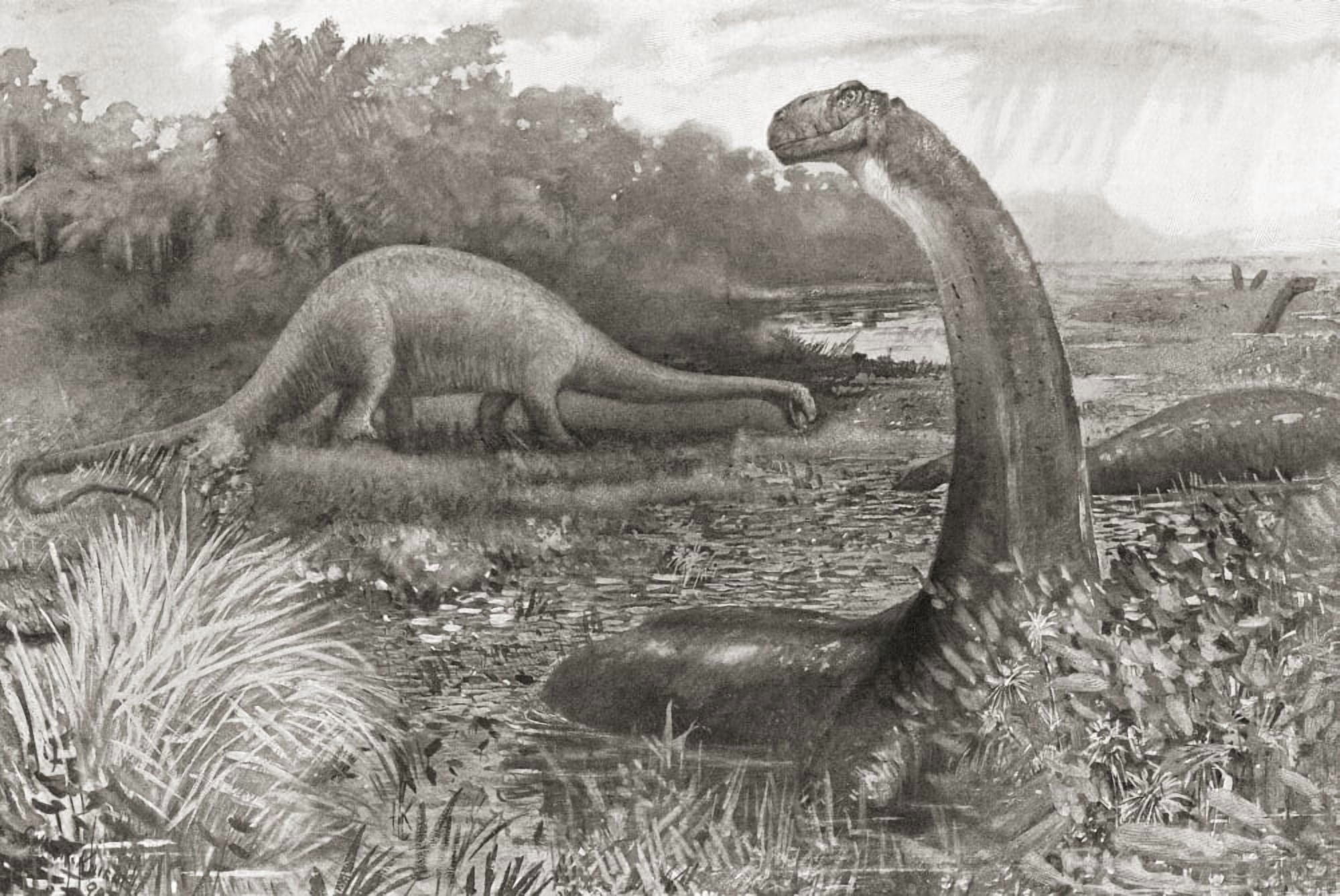 A Group Of Brontosaurs Or Thunder Saurians From The Century Illustrated Monthly Magazine May To October 1904 Canvas Art - Ken Welsh Design Pics (34 x 24)