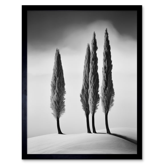 Group of Cypress Trees on Snowy Hill Minimalist Black and White Photograph Cypresses in Foggy Winter Landscape Art Print Framed Poster Wall Decor 12x16 inch