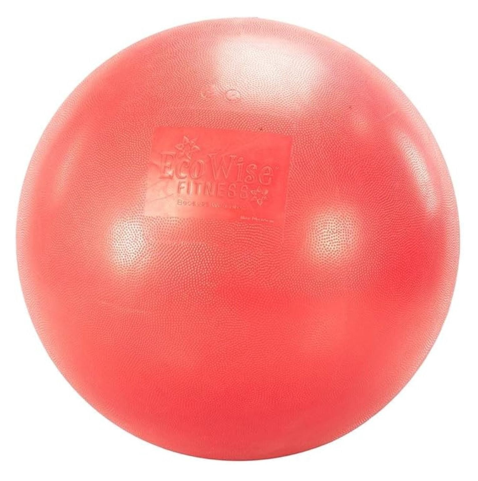 Group EcoWise Premium Fitness Ball , 65-cm