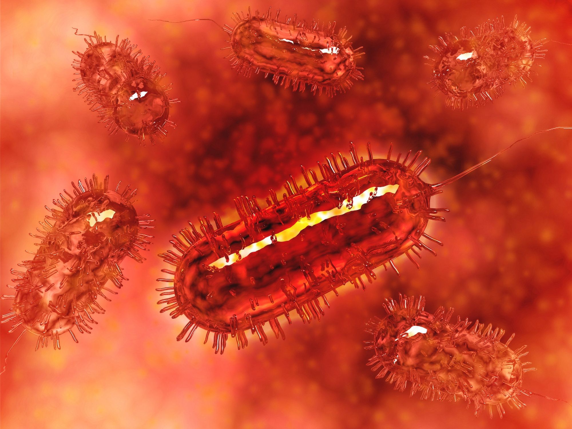 Group of Escherichia coli bacteria cells, commonly known as E. Coli. E. coli is a common type of