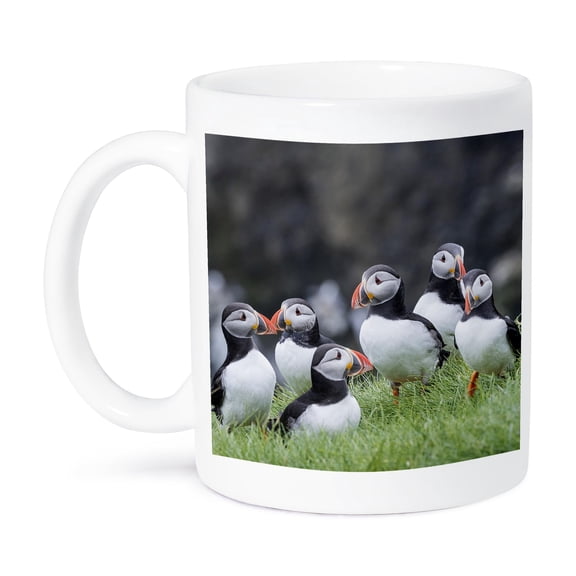 3drose, Group of Atlantic Puffins on Mykines, Faroe Islands, Denmark., 11oz Mug