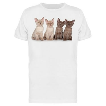 Group Of Burmese Kittens Sitted T-Shirt Men -Image by Shutterstock Men T-Shirt, Male Small