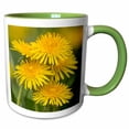 thumbnail image 1 of 3drose, Group of Dandelions, Great Smoky Mountains, National Park, Tennessee, 11oz Two-tone Green Mug, 1 of 6