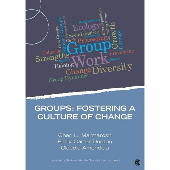 Group Work Practice Kit Groups: Fostering a Culture of Change, (Paperback)
