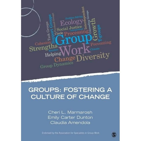 Group Work Practice Kit Groups: Fostering a Culture of Change, (Paperback)