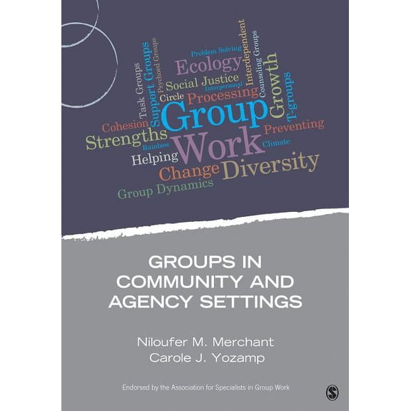 Group Work Practice Kit Groups in Community and Agency Settings, (Paperback)