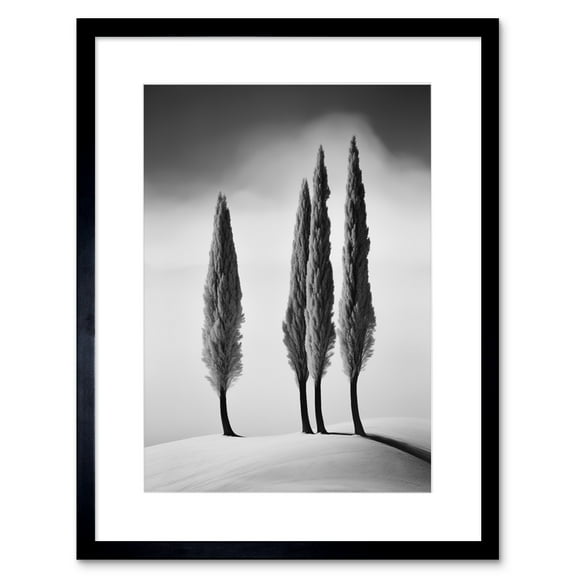 Group of Cypress Trees on Snowy Hill Minimalist Black and White Photograph Cypresses in Foggy Winter Landscape Artwork Framed Wall Art Print 9X7 Inch